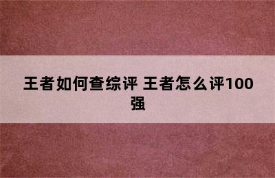 王者如何查综评 王者怎么评100强